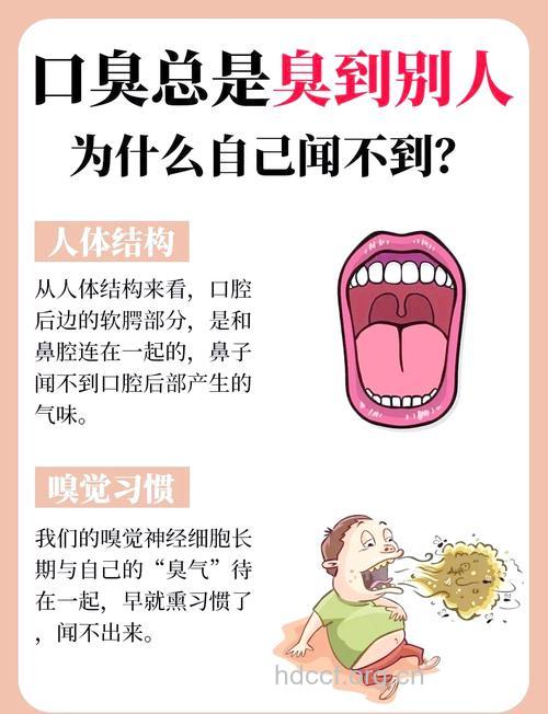 消除口臭习惯很重要