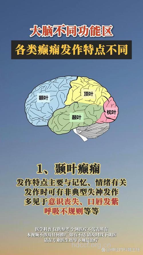 不同区域的癫痫症状