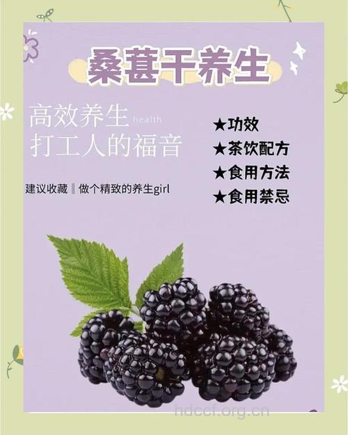 常吃桑葚有助于缓解牛皮癣