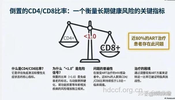 CD4 T 细胞对于艾滋病的意义