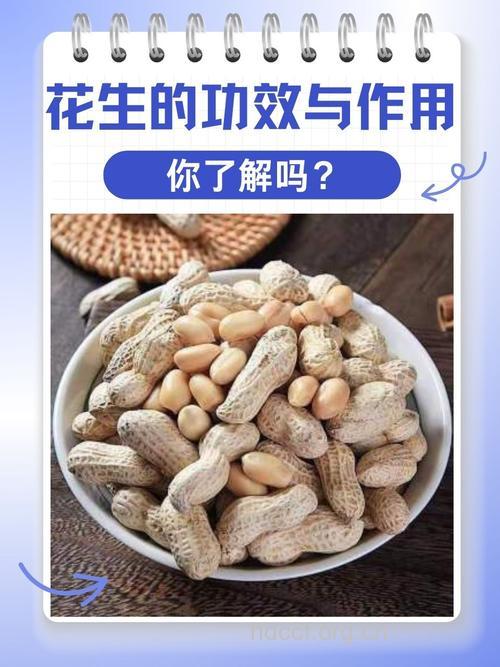 立冬养生之多吃芝麻花生