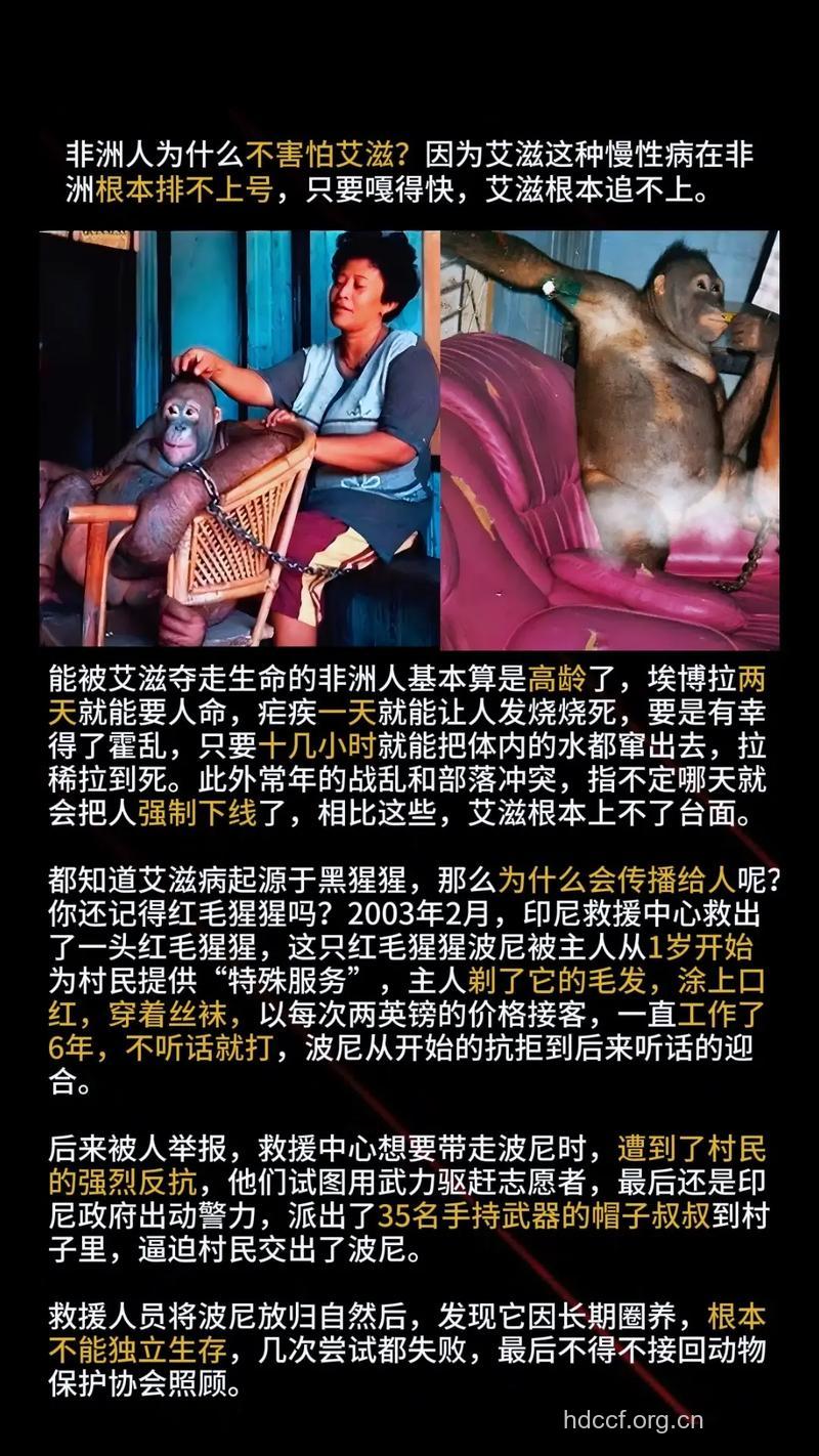 为什么非洲人容易感染艾滋病