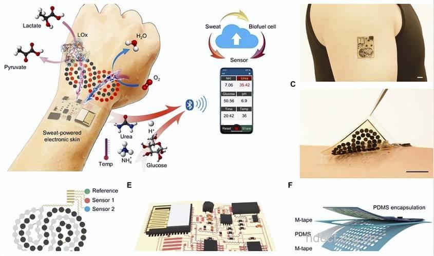 新技术在皮肤病中的应用