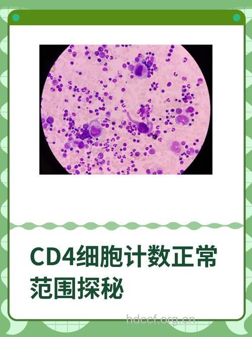 艾滋病 正常人的CD4细胞数量