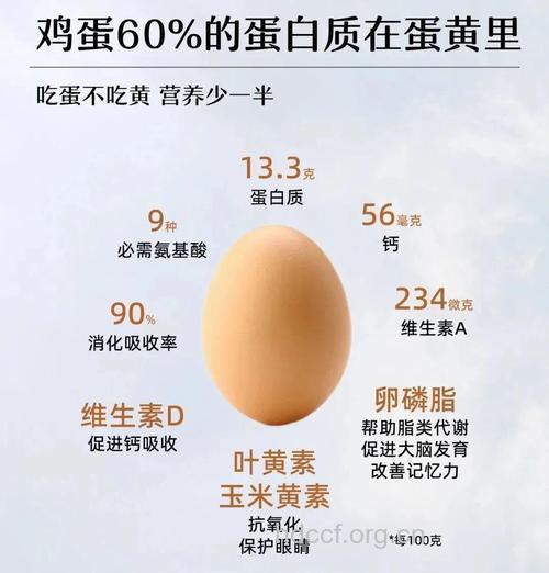 每天吃多少鸡蛋最健康