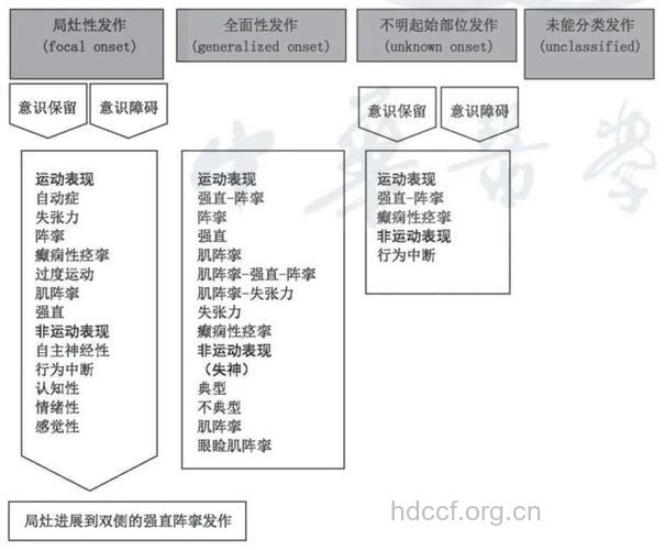 癫痫的病因有哪些分类