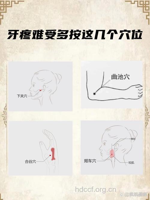 按摩止牙痛穴位大全