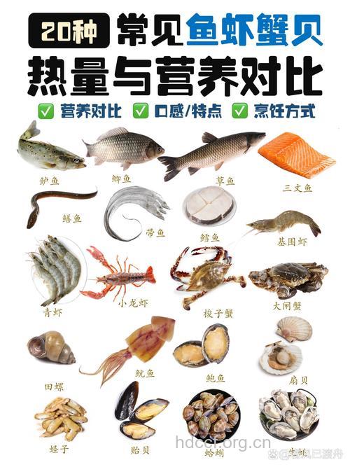 孕妇吃鱼和虾的营养对比