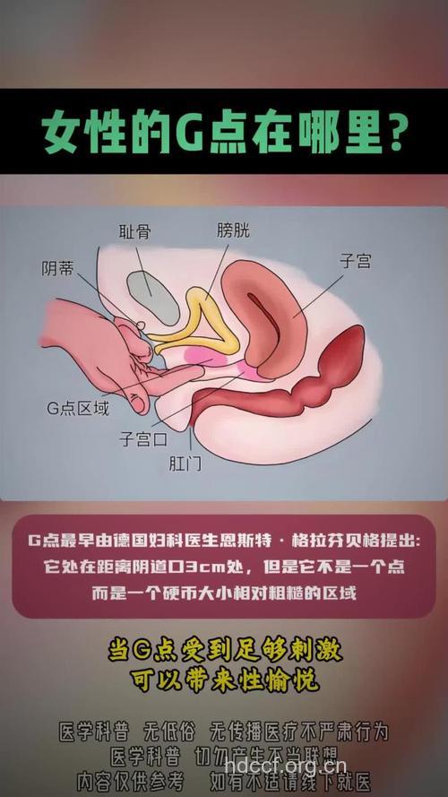 女人最关重要的六个部位
