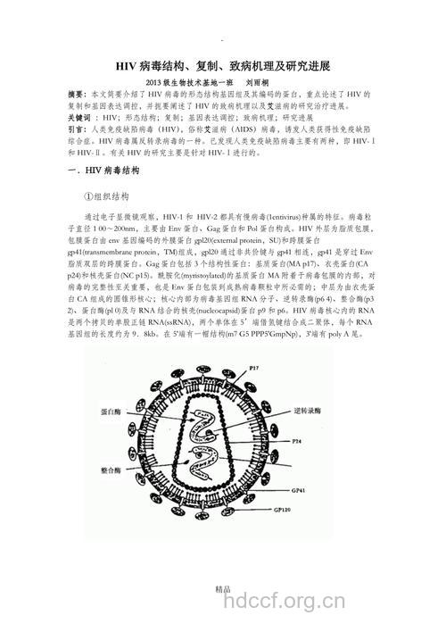 艾滋病病毒的研究