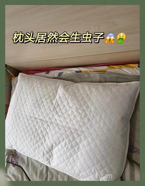 换换枕头远离螨虫皮肤病
