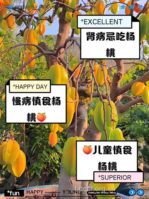 不宜吃桃子的五种人