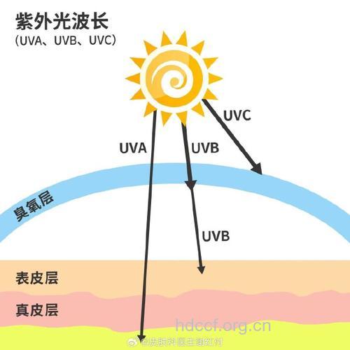 紫外线UVA更易致皮肤癌