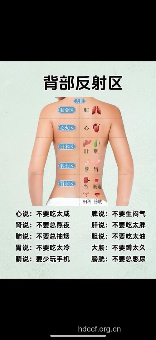中医有哪些反射区有助于养生