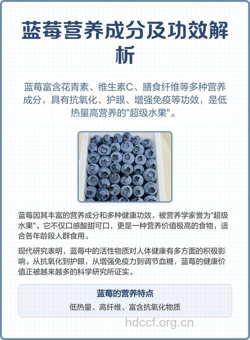 白领族常吃蓝莓有什么好处