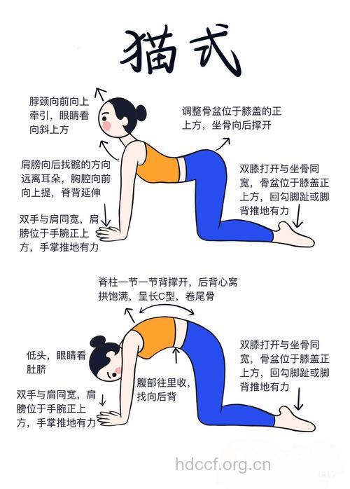 白领怎么自我按摩预防腰酸背痛