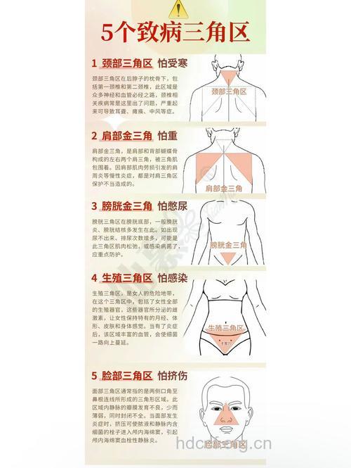 女性身体危险三角区你了解吗