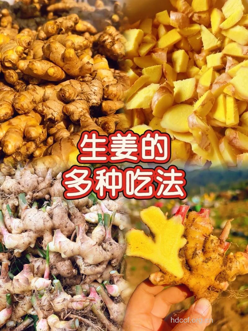 夏季生姜的五种吃法