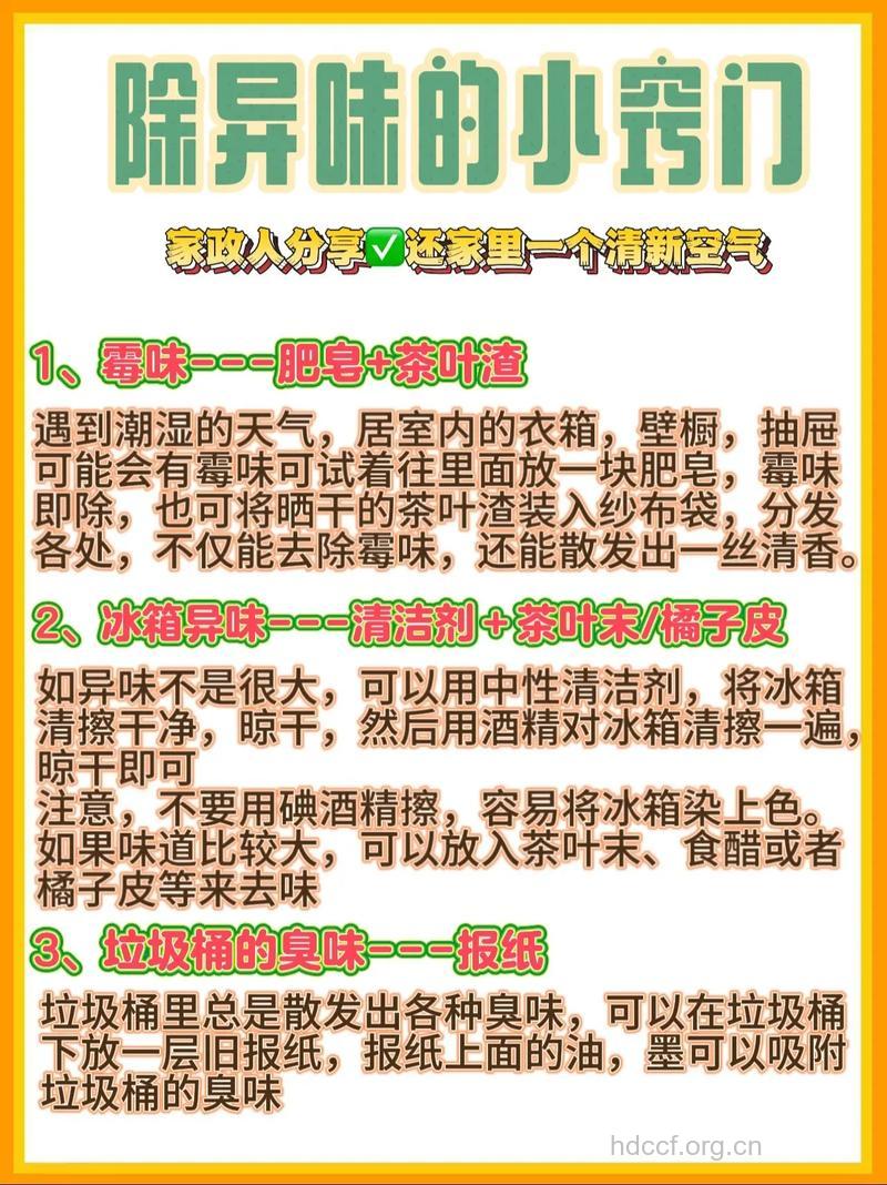 居家怎么改善异味方法