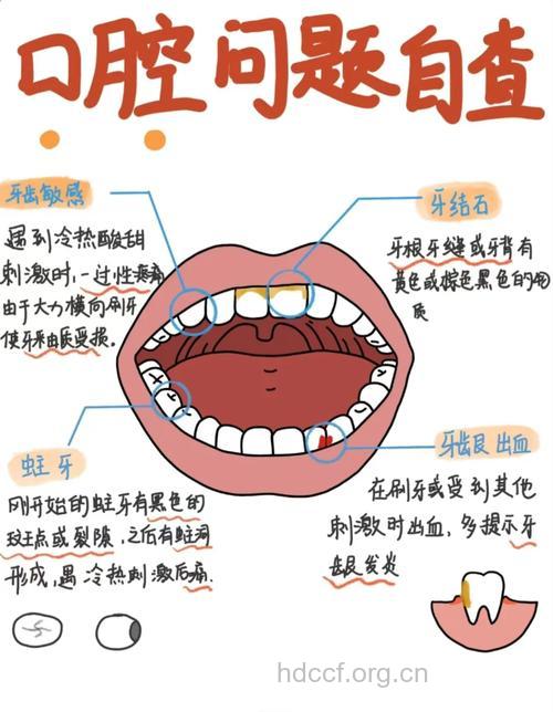 唾液对牙齿大有功效