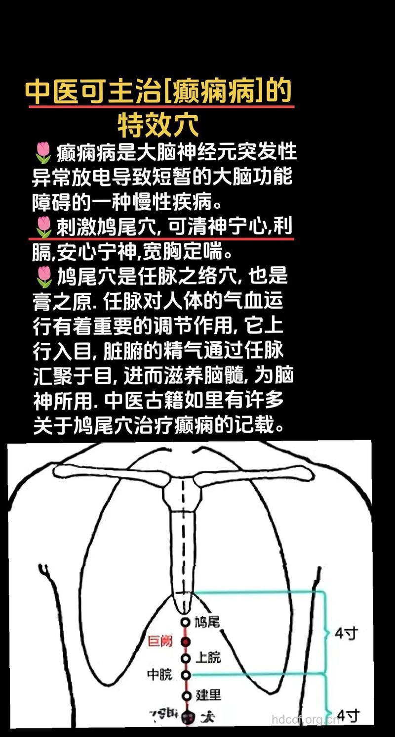 癫痫病的中医三元辨证疗法