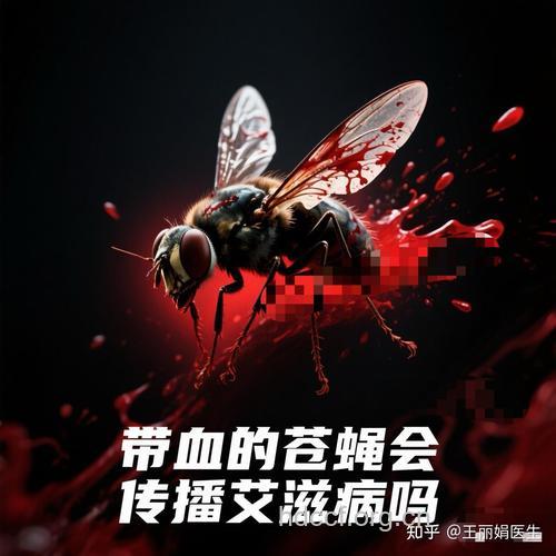 苍蝇会传染艾滋病吗
