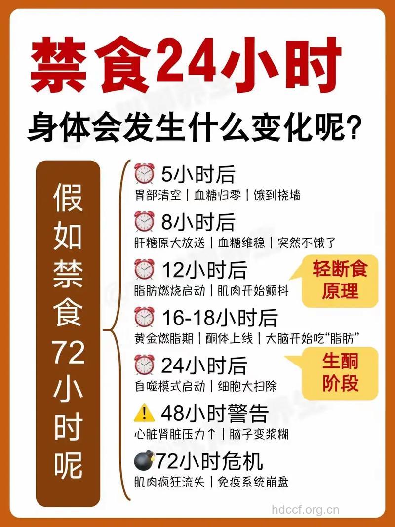 适度的饥饿感有什么好处