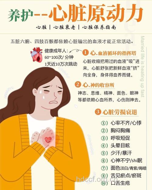 日常有哪些保养心脏方法