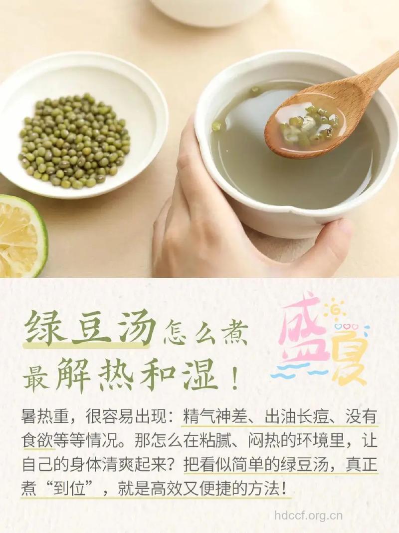 夏季老人怎么喝绿豆粥养生
