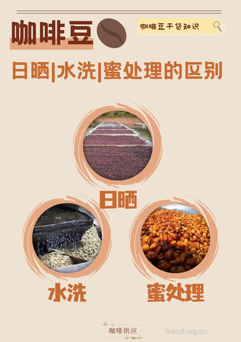 日晒伤的中药治疗方法