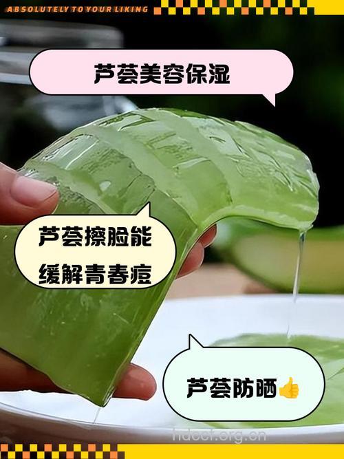 美容护肤鲜芦荟治晒伤