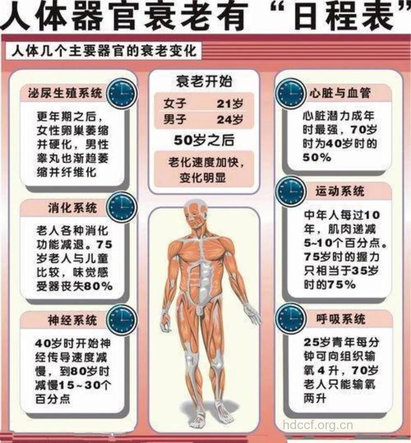 从身体这些地方看出你是否衰老