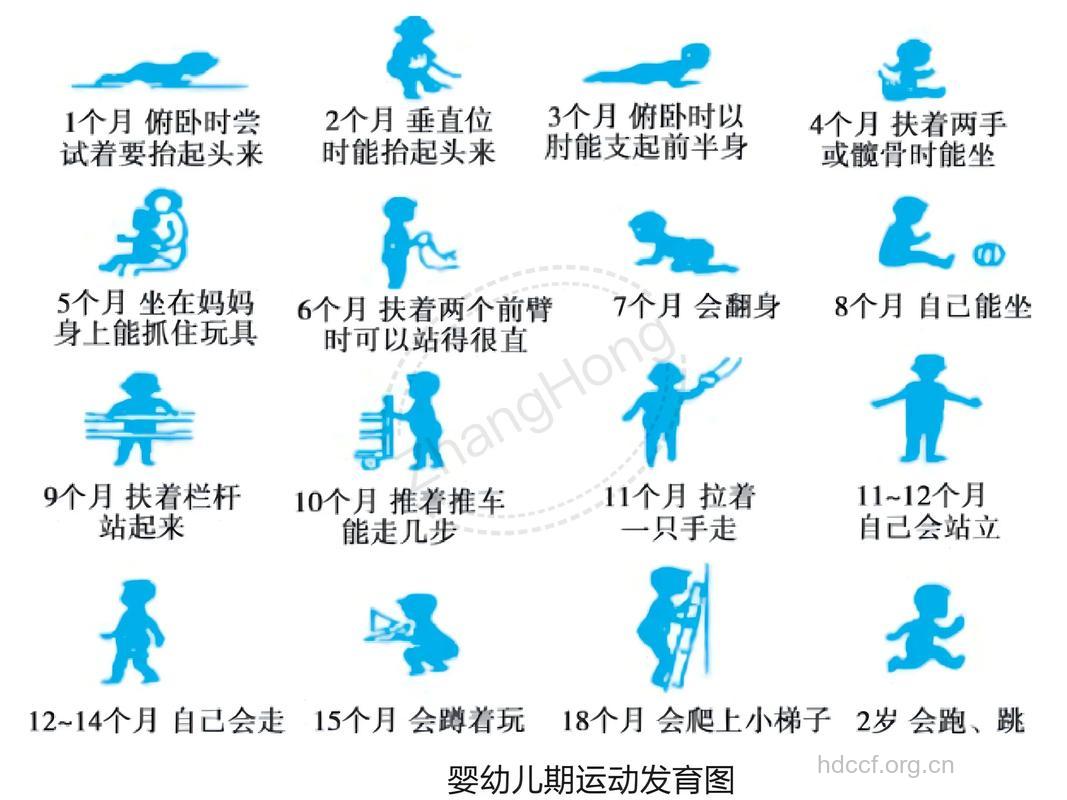 判断小儿神经发育是否正常的方法