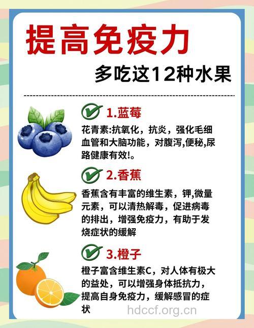 夏季有哪些提高免疫力方法