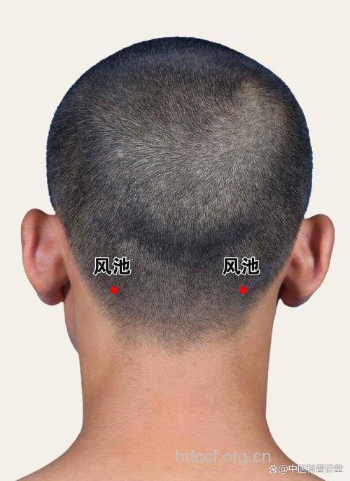 多按“后脑勺”可以解春困