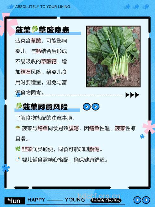 宝宝吃菠菜有什么好处