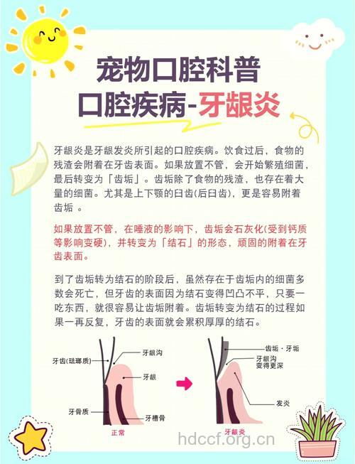 牙龈炎的病因及治疗方法