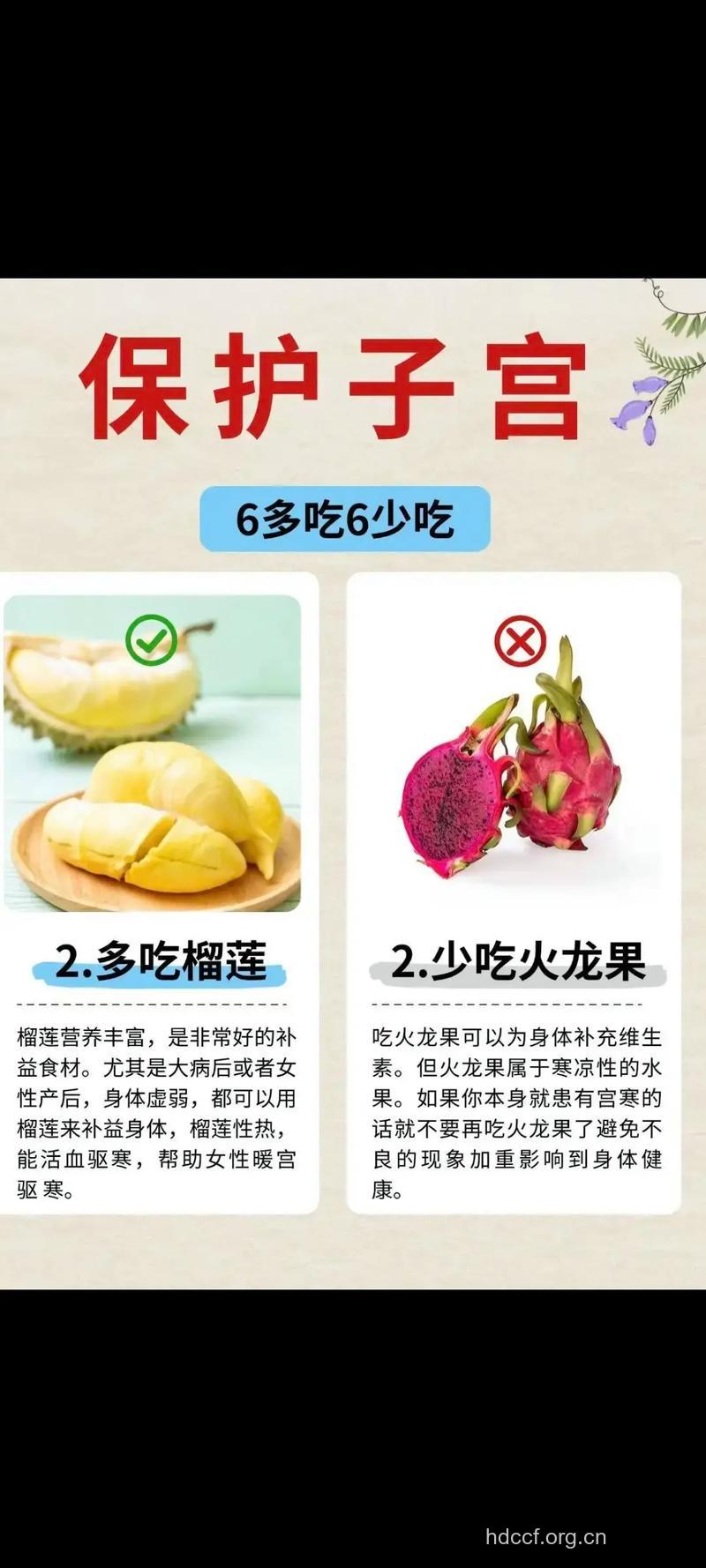 哪些食物保护女性身体