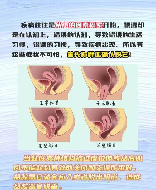 女性老年有哪些生理特征