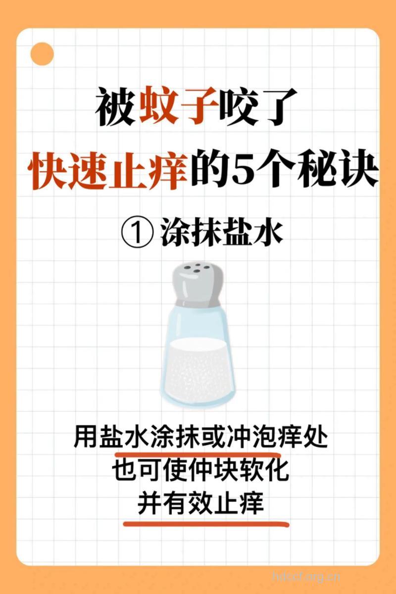 被蚊子咬到后的去痒方法有哪些