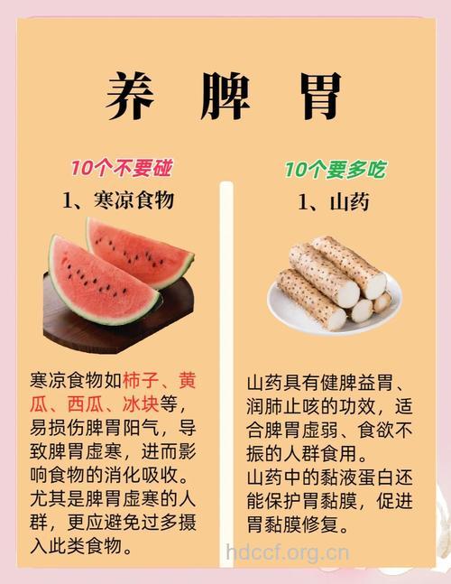 哪些食物可调理气虚