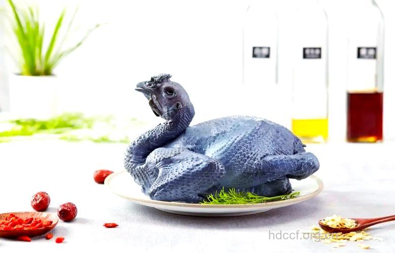 美颜美食的首选属乌鸡