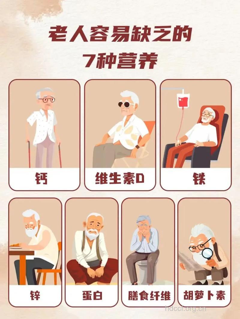 营养过剩会引发老年痴呆吗
