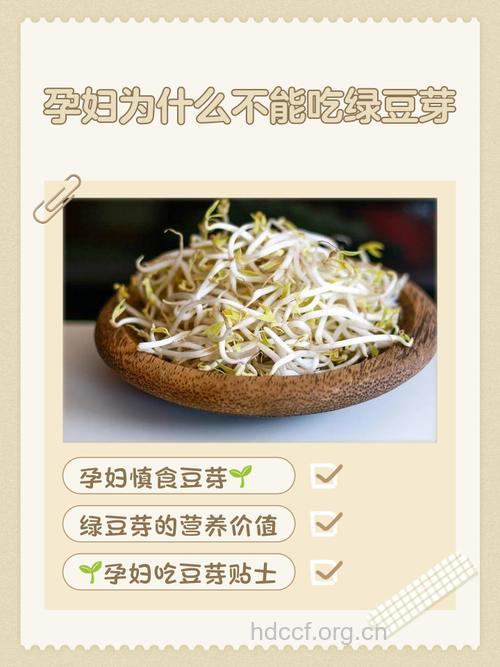孕妇可不可以吃绿豆芽