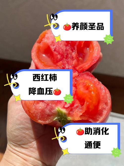 西红柿对老年痴呆的作用