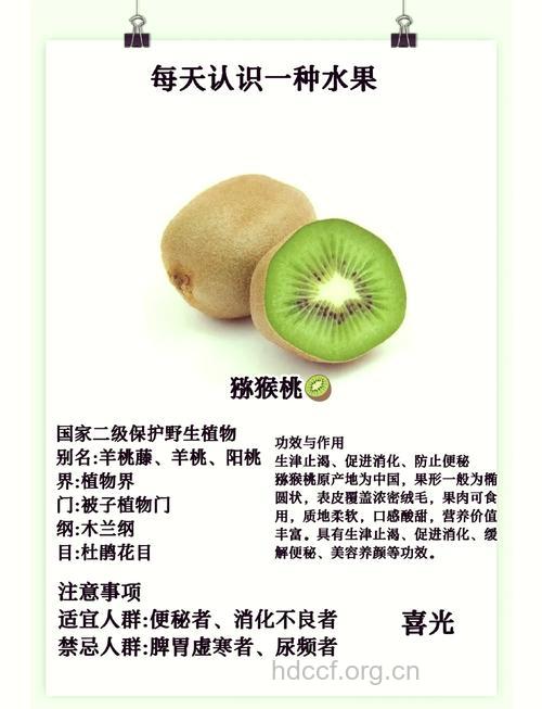 猕猴桃让你越吃越白