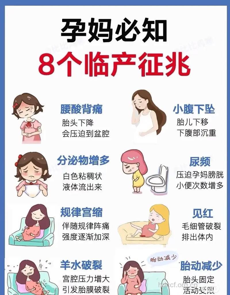 哪些征兆说明你要生了