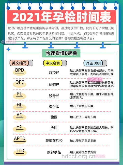 怀孕期间什么时候做B超最好