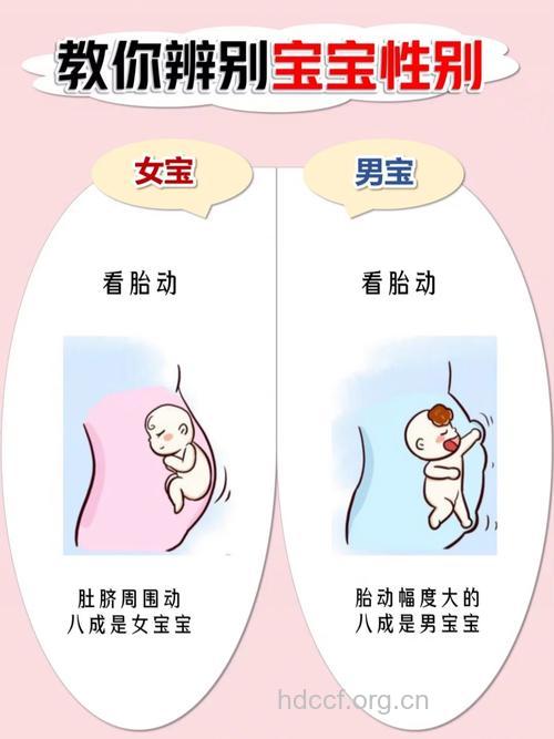 怎么从胎动判断宝宝性别