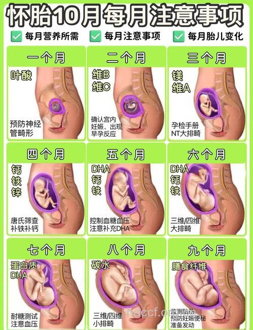 孕期前三个月有哪些胎教方法